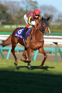 [阪神大賞典]ナリタブライアンにディープインパクト…。武豊騎手が騎乗した阪神大賞典の勝ち馬を振り返る。 | ウマフリ | 競馬コラム＆ニュース