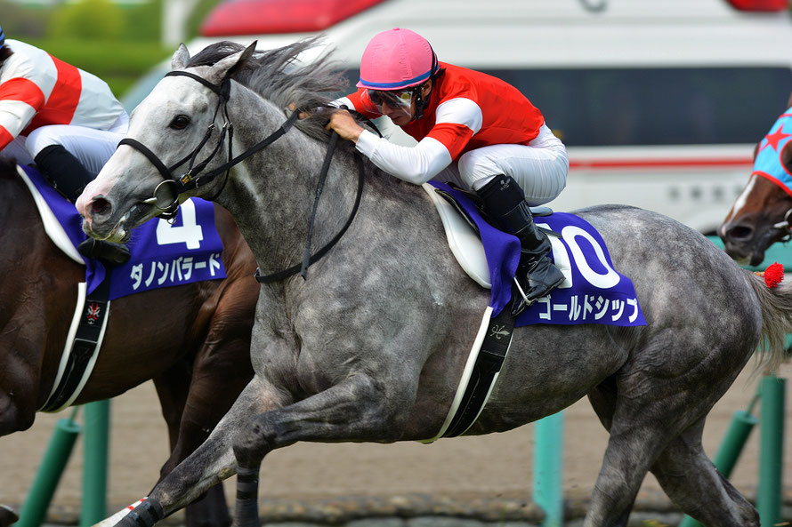 稀代の超個性派〜芦毛の怪物・ゴールドシップ〜 | ウマフリ | 競馬