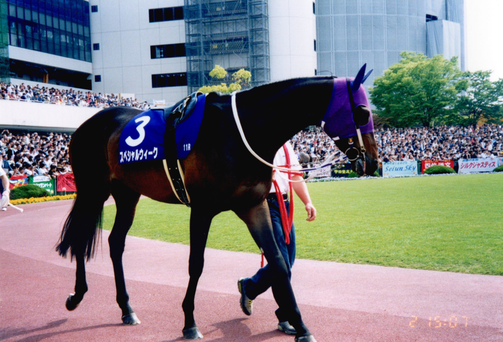 スペシャルウィーク 名牝系の末裔が 日本の総大将 と呼ばれた日 競馬コラム ニュース ウマフリ