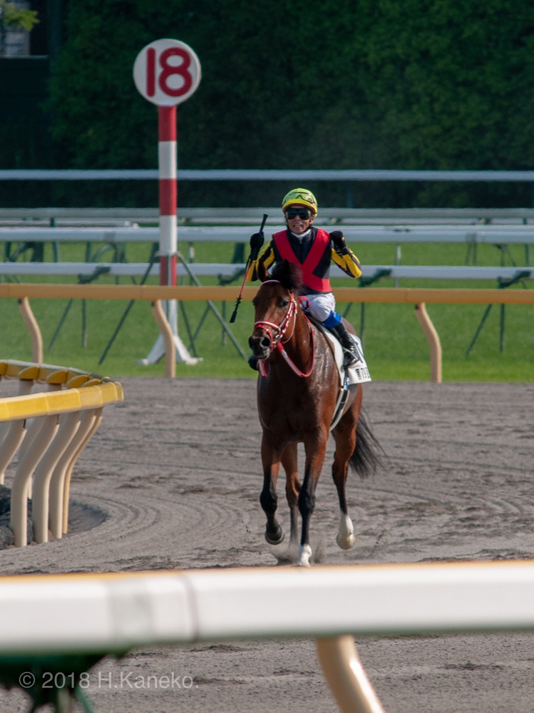 ダービーを勝つということ 競馬コラム ニュース ウマフリ