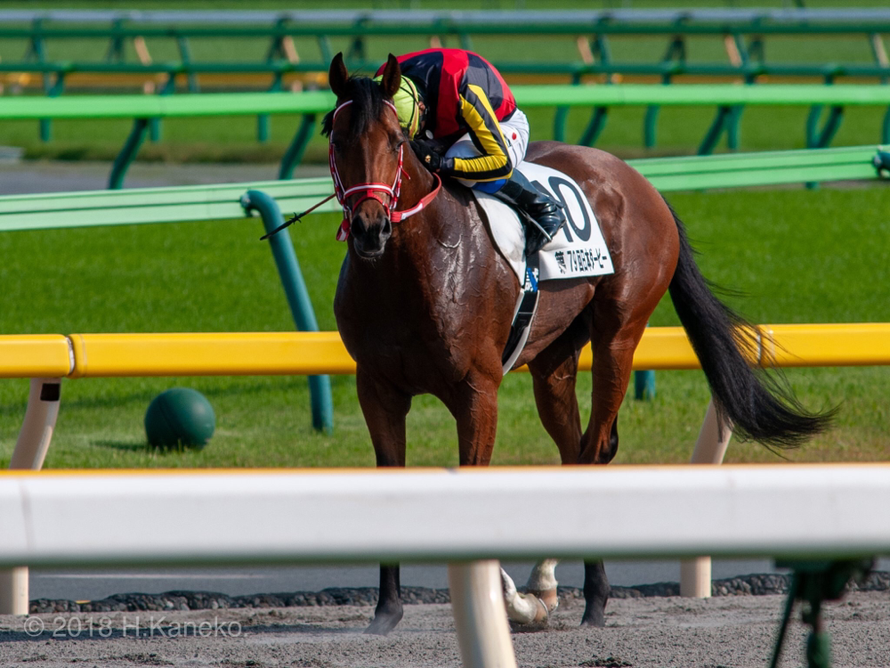 ダービーを勝つということ 競馬コラム ニュース ウマフリ