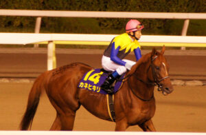 カネヒキリ〜不屈の魂〜