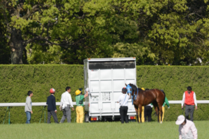 2018年、天皇賞春。最後の一完歩を耐え切り、掴んだ『未来』 - レインボーライン