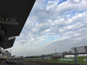 馬とふれあい、いま改めて思うこと〜関東オークス〜