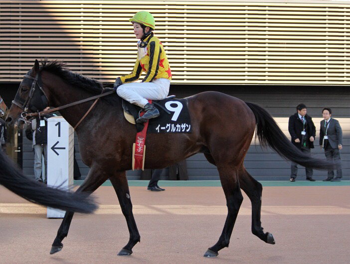 7年の時を経て～岩手競馬、腐れ縁のベテラン2頭のたたかい～ | ウマフリ | 競馬コラム＆ニュース