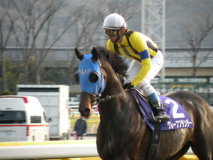 グレープブランデー　祝杯は、まだ遠くても