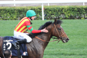 海外競馬紹介~シビアな一面も!?香港競馬の魅力~