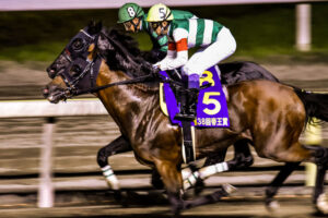 初心者だけど地方競馬をプレゼンさせて下さい〔後編〕