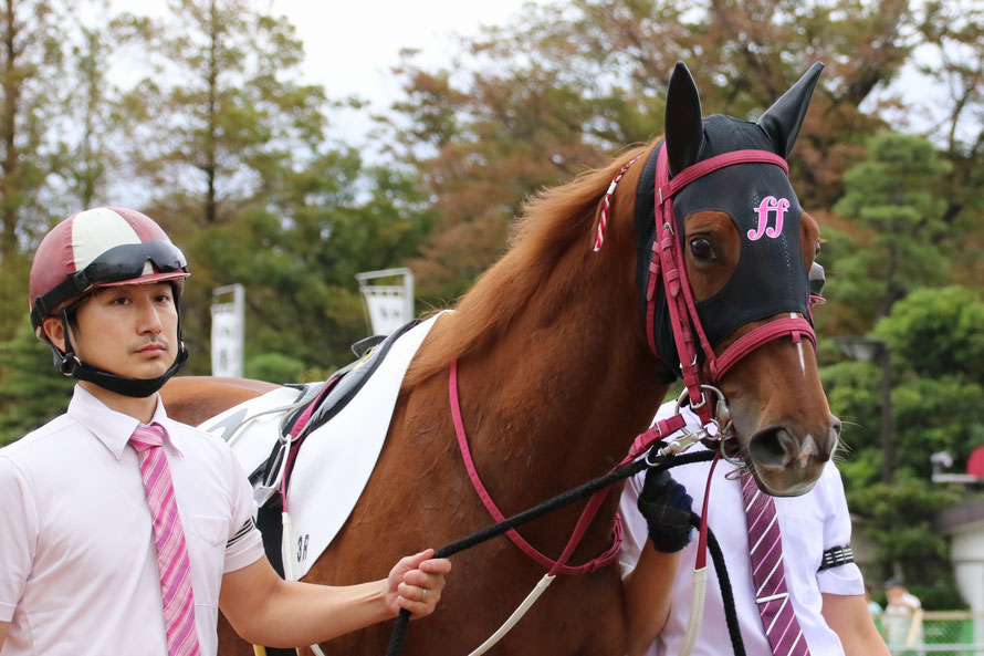 デキる競走馬はメンコで魅せる 基本編 競馬コラム ニュース ウマフリ