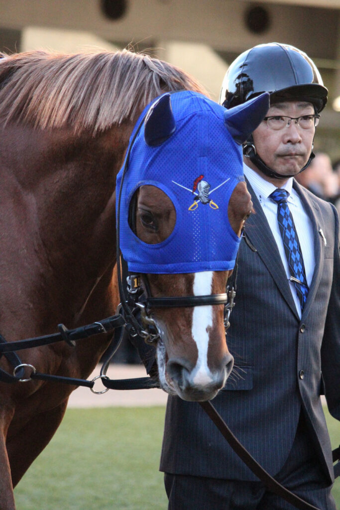 デキる競走馬はメンコで魅せる〜基本編〜 | ウマフリ | 競馬コラム＆ニュース