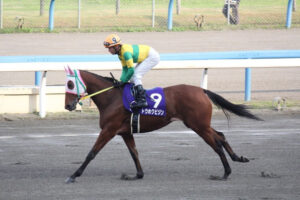 男勝りのタフネスガール～トウホクビジン～