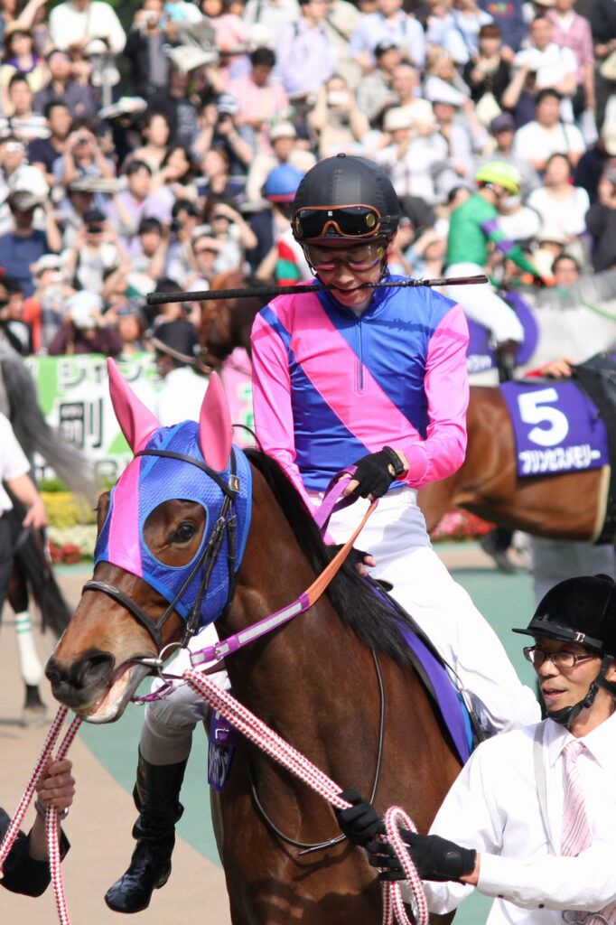 デキる競走馬はメンコで魅せる～総合編～ | ウマフリ | 競馬コラム＆ニュース