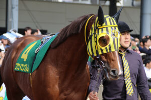 デキる競走馬はメンコで魅せる~総合編~