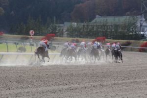 南部杯　～　天高く○○肥える秋？