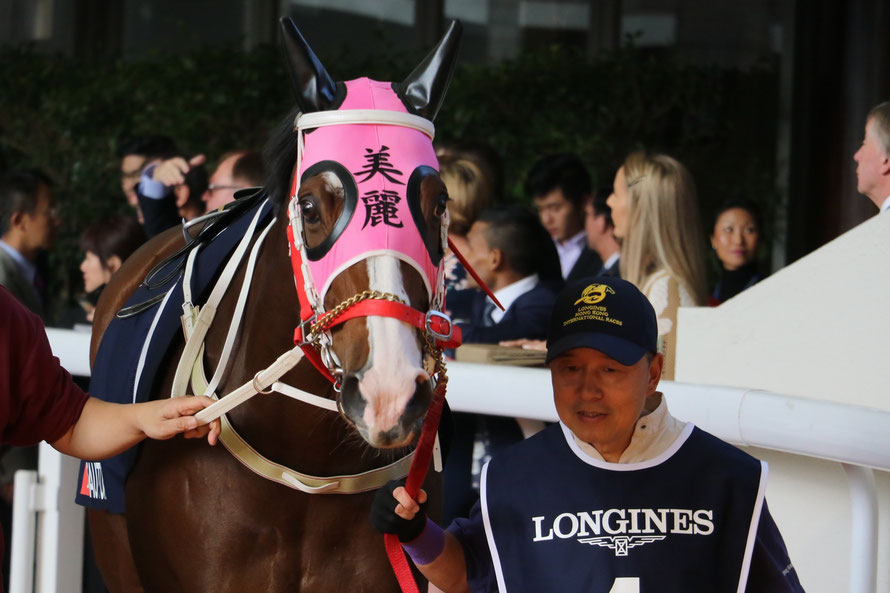 デキる競走馬はメンコで魅せる 総合編 競馬コラム ニュース ウマフリ