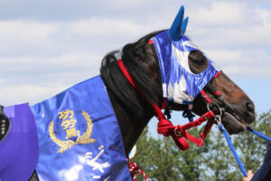 百万石の名馬〜百万石賞とジャングルスマイル〜