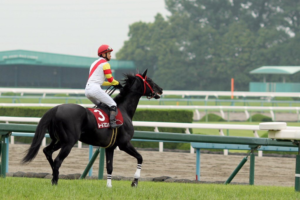 都に舞う華～ルールプロスパー～