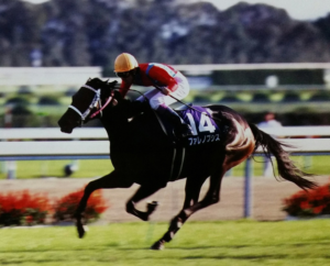 ナリタブライアン　三冠馬　ジャケット　ジャンバー か*N様 ナリタブライアン 三冠馬 ジャケット ジャンバー 8月中