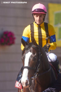 イスラボニータ〜衝撃のラストラン〜