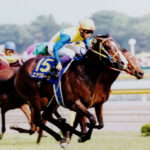 競馬 JRA レープロ950708札幌 チアズダンサー / エアグルーヴ初出走 / 種牡馬トウカイテイオー Yニシノフラワー image-771-150x150.jpeg