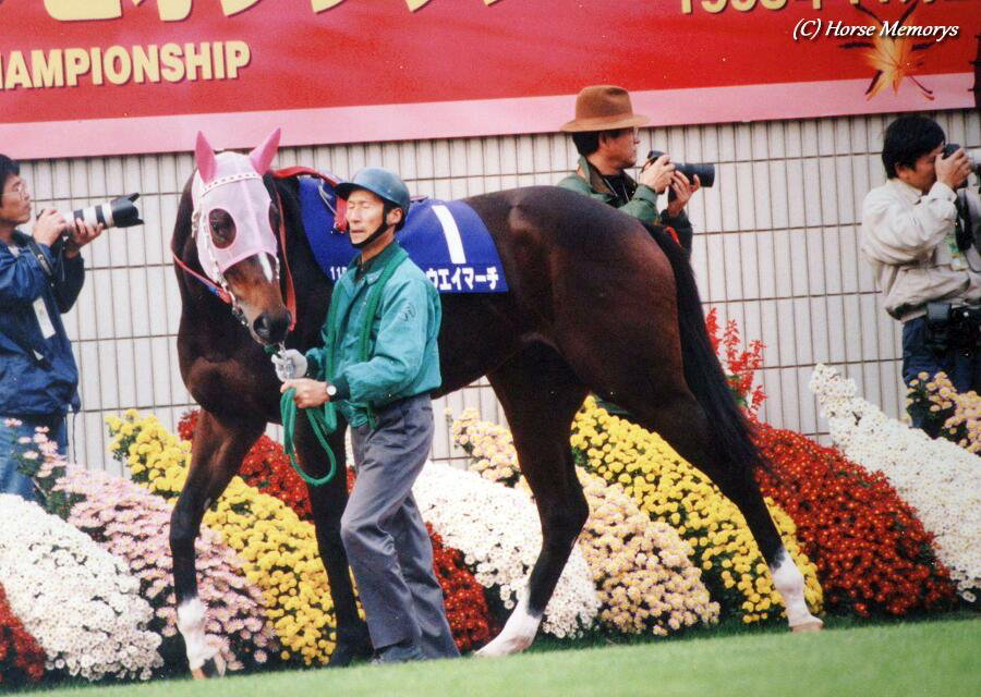 競馬タイムトラベル］2000年京都金杯・キョウエイマーチ | ウマフリ | 競馬コラム＆ニュース