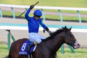 ［重賞回顧］第53回スプリンターズステークス（GⅠ）～23年分の歓喜～