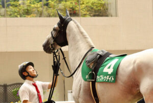 きっと明日も晴れるはず～アップトゥデイト～