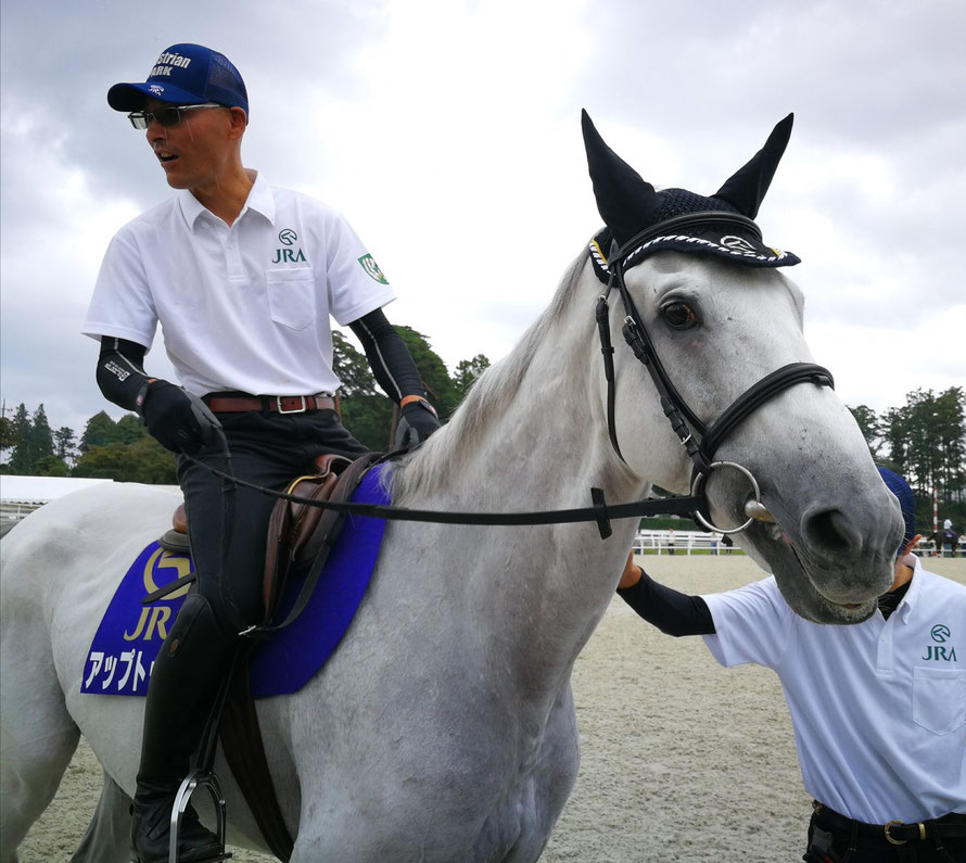 きっと明日も晴れるはず アップトゥデイト 競馬コラム ニュース ウマフリ