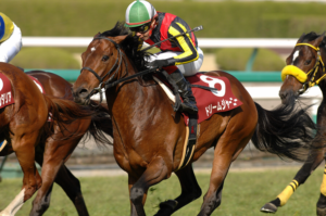 人馬の出会いを紡ぐ馬 ドリームジャーニー