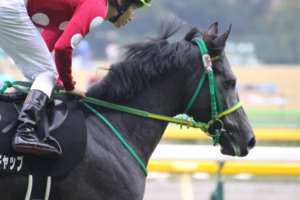 競馬 販売 カメラ おすすめ