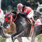 ［インタビュー］14年ぶり、高知に女性騎手誕生！濱尚美騎手インタビュー