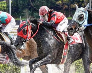 ［インタビュー］14年ぶり、高知に女性騎手誕生！濱尚美騎手インタビュー