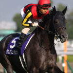 ［重賞回顧］第24回秋華賞（GⅠ）～秋に咲く、一輪の花～