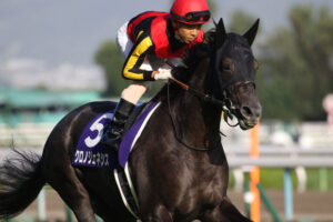 ［重賞回顧］第24回秋華賞（GⅠ）～秋に咲く、一輪の花～