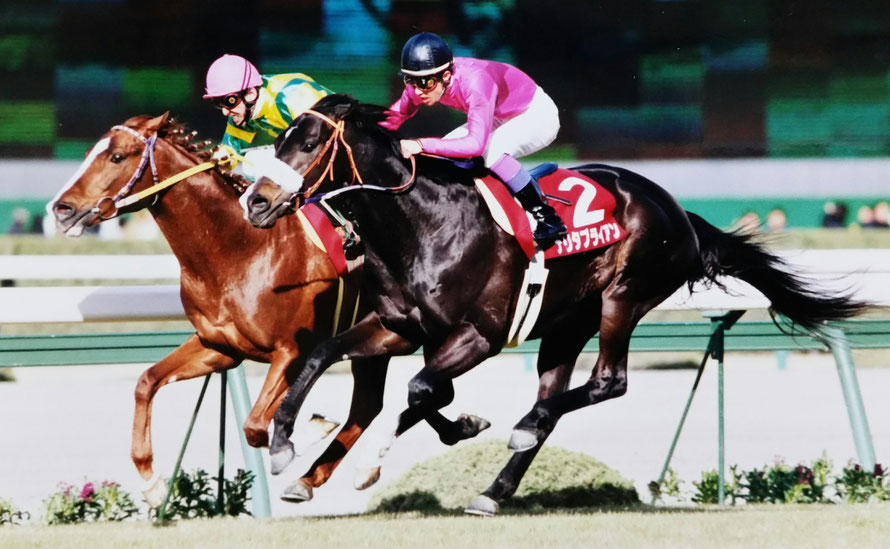［阪神大賞典］ナリタブライアンにディープインパクト…。武豊騎手が騎乗した阪神大賞典の勝ち馬を振り返る。