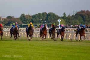 競馬フィギュア【2008天皇賞秋】ポニポニポニーノ 競馬フィギュア【2008天皇賞秋】ポニポニポニーノ様専用の通販
