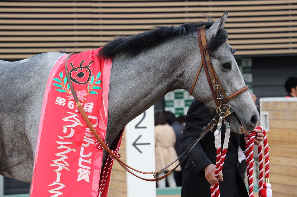 横田めぐみ 旦那 現在