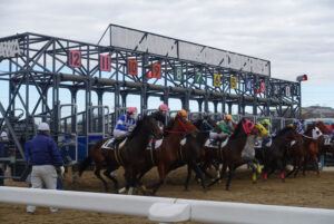 まだ知らない、だから惹かれる～浦和競馬場訪問記～