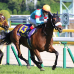 ［Rewind the race］最強証明～2018年・オークス～