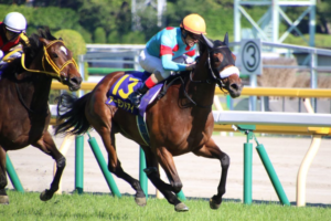 ［Rewind the race］最強証明～2018年・オークス～