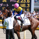 ［Rewind the race］乾坤一擲～2018年・ダービー～