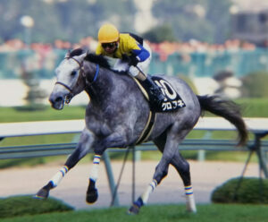 【即決】クロフネ　現地的中 単勝馬券×2枚セット 武蔵野S&JCダート 即決】クロフネ 現地的中 単勝馬券×2枚セット 武蔵野S&JCダート
