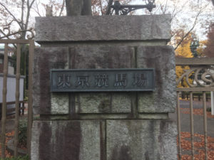 夢と現実の折り合い 「東京競馬場誘致」の行間を読む