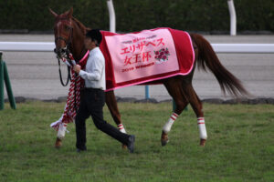 ［重賞回顧］第44回エリザベス女王杯（GⅠ）～ステイの子〜