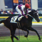 初恋は競馬とともに〜スペシャルウィークとS君〜