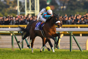 37年と2分の情熱〜2018年ジャパンカップ〜