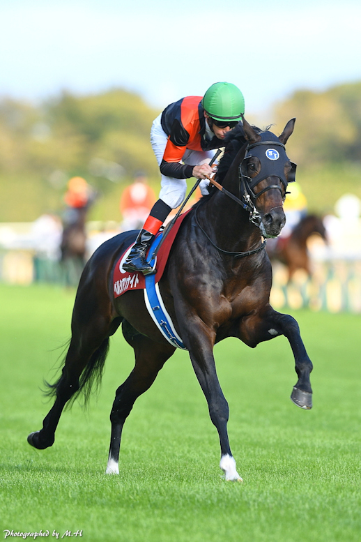 ゲットだぜ 競馬界の ポケモン 馬 大集合 競馬コラム ニュース ウマフリ