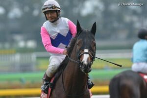 ［平成名勝負］175,100ｍの軌跡～2012年ステイヤーズステークス・トウカイトリック～