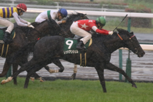 ［重賞回顧］第55回CBC賞（GⅢ）～ 視界不良に負けることなく～