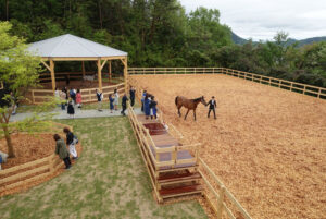 「馬と人の福祉」の時代～TCC Therapy Park竣工式＆レセプションパーティー取材手記～